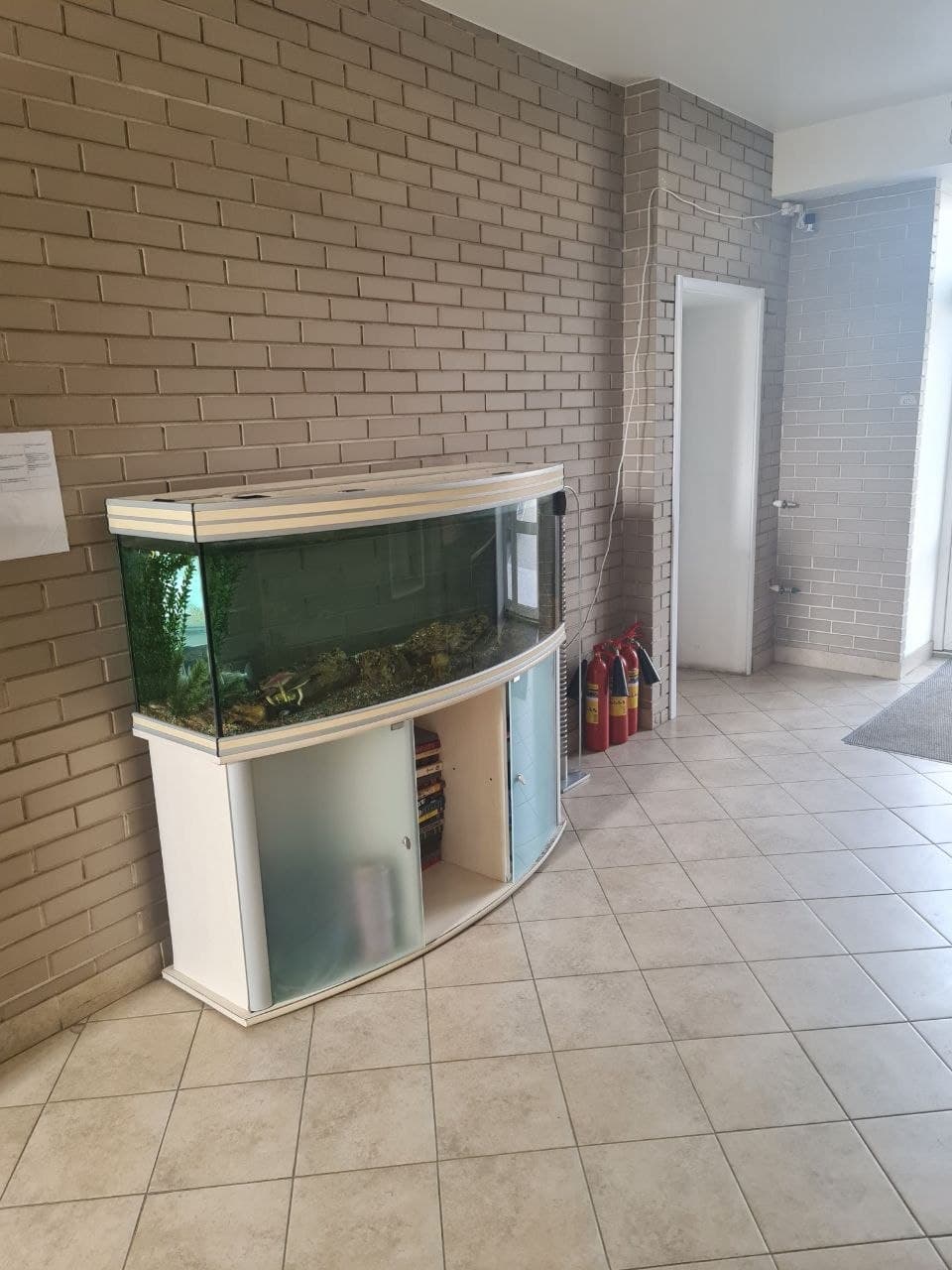 Превью 2